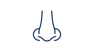 nose.png
