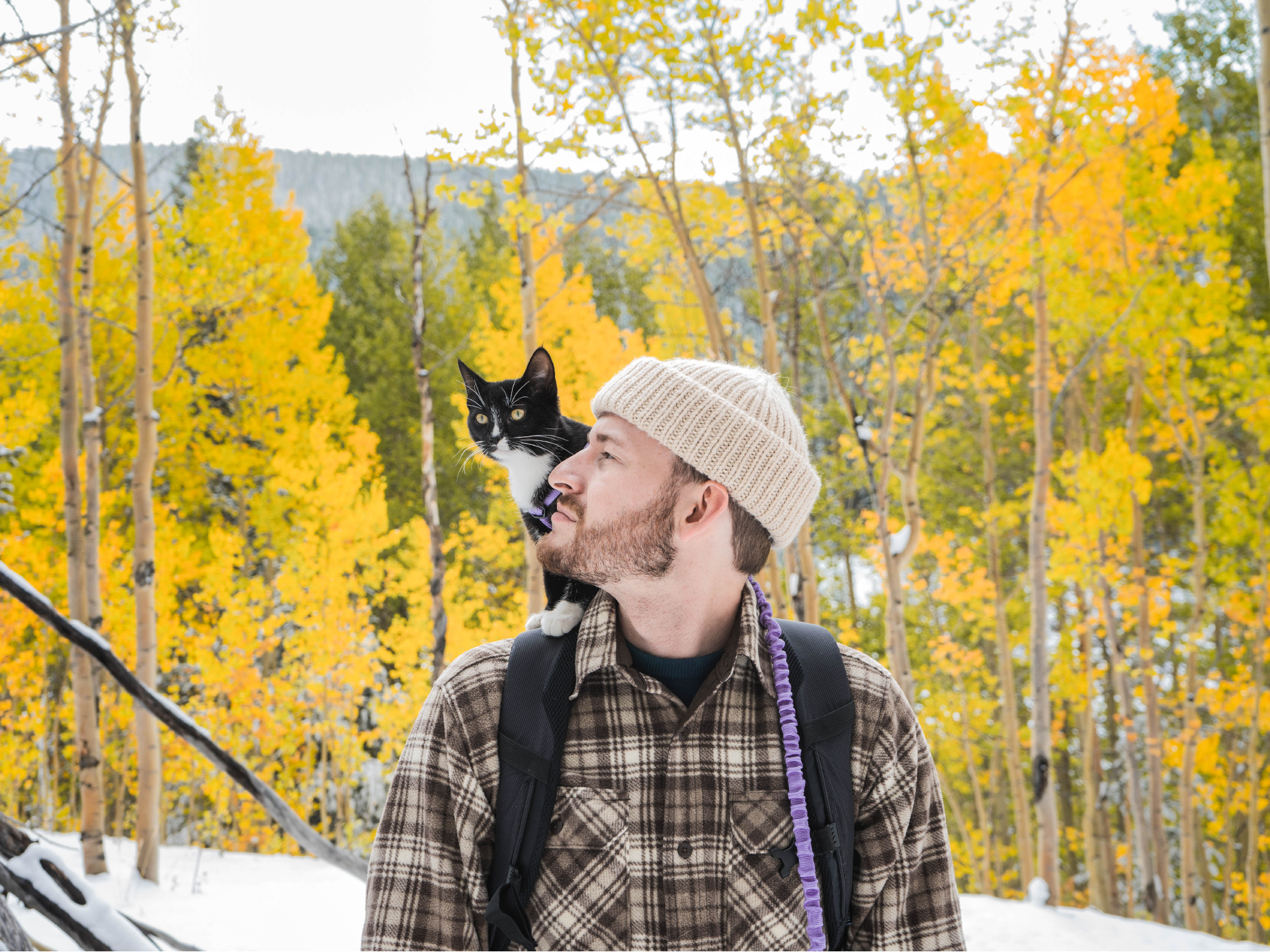 AH_Man and cat_1920x1440.png